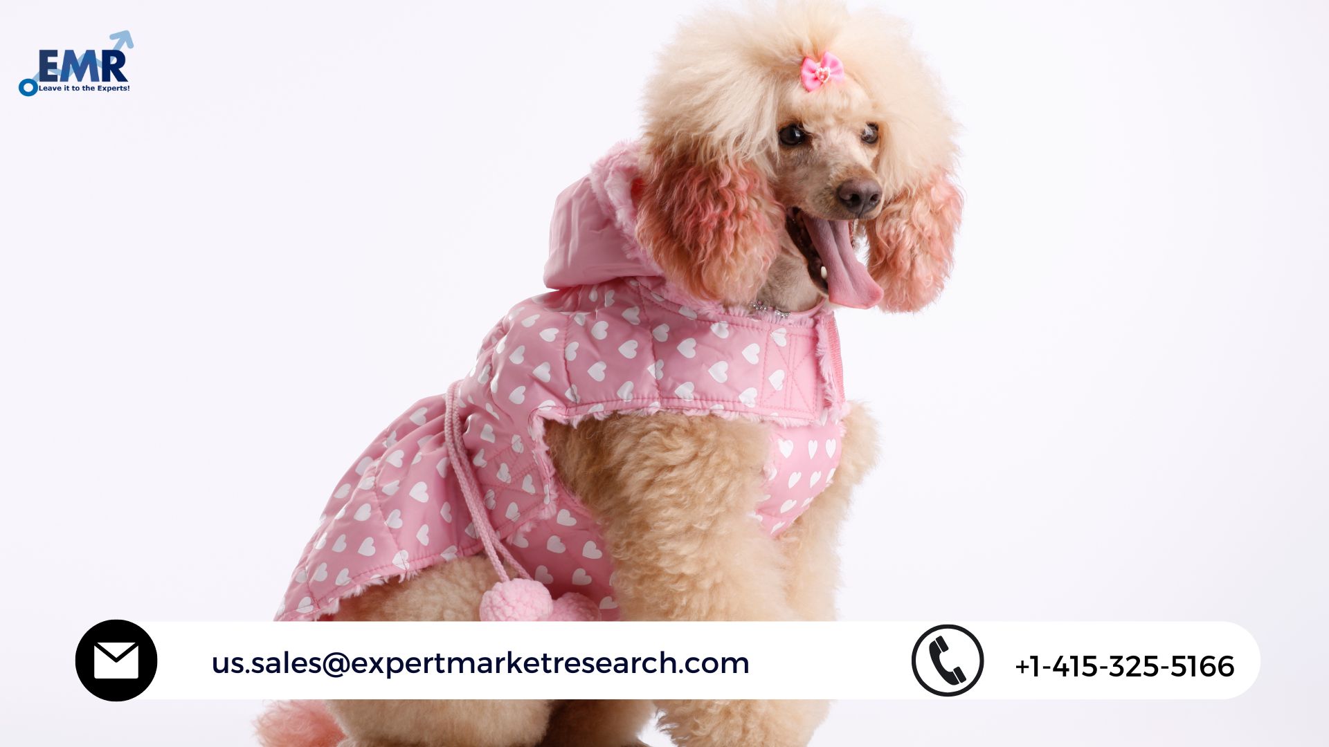 Pet Clothing Market