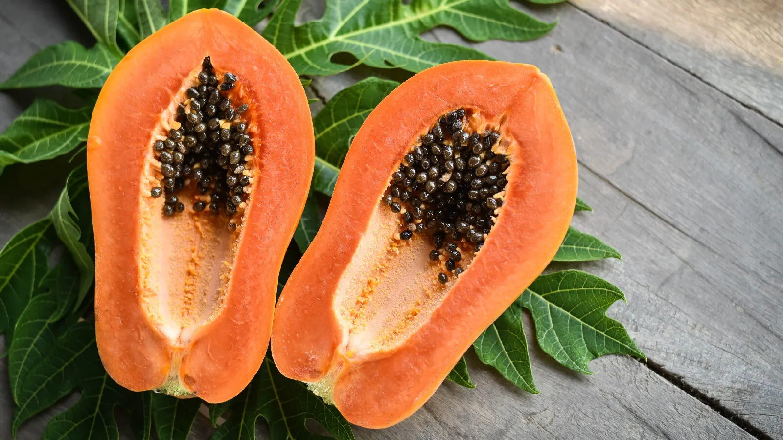The Health Benefits Of Papaya For A Long And Healthy Life